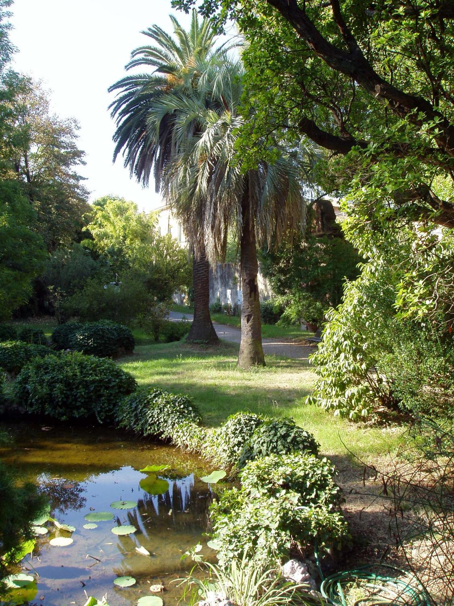 Ferienwohnung Hagley Park Hidden Gem Christchurch Exterior foto